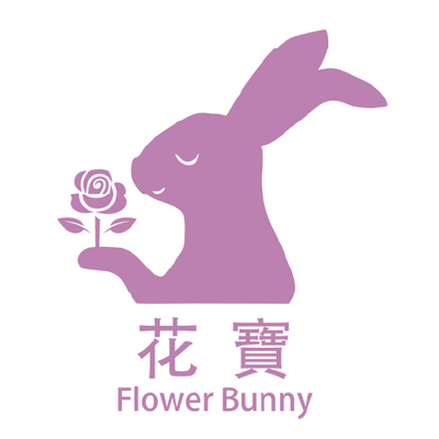 Follow Bunny